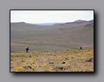 Click to enlarge 802 shelr bpk 13062005 back frm mahogany mtn pass.jpg